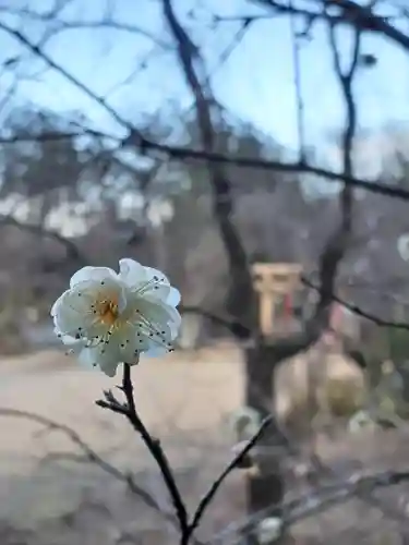 大生郷天満宮の自然