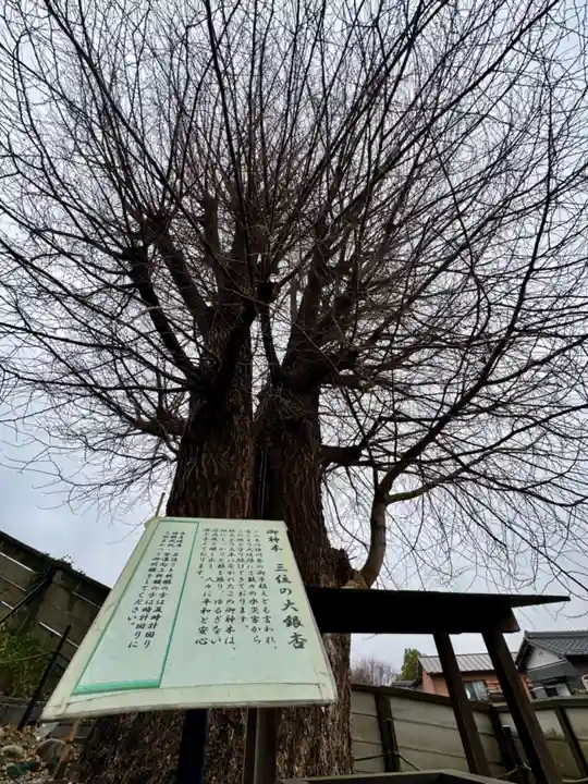 堤治神社の自然