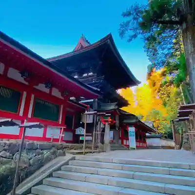 石上神宮(奈良県)