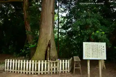 鎌数伊勢大神宮(千葉県)