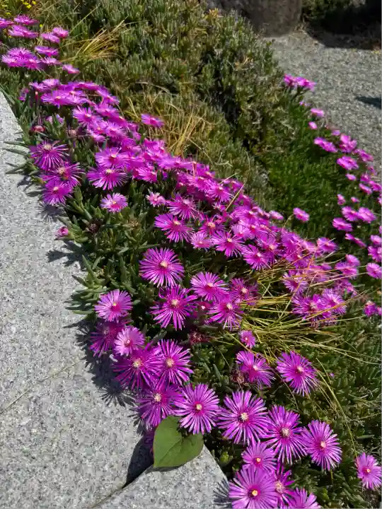 宝帒寺(神奈川県)