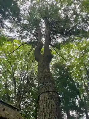 鹿島神社(宮城県)