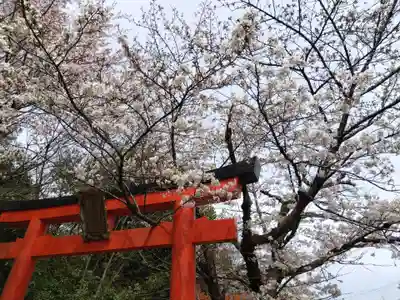 竹中稲荷神社（吉田神社末社）(京都府)
