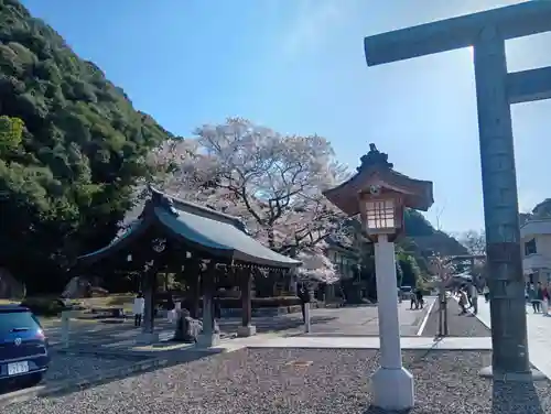 岐阜護國神社(岐阜県)