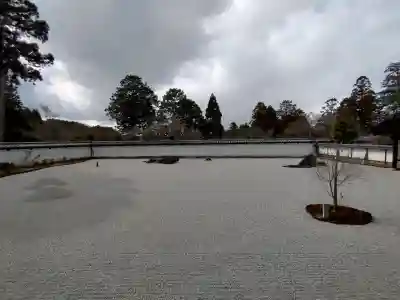 曼殊院門跡の{uncategorized: "未分類", other: "その他", undefined: "問題あり", building: "その他建物", grave: "お墓", sacred_gate: "鳥居", guardian: "狛犬", statue: "像", buddha: "仏像", history: "歴史", nature: "自然", garden: "庭園", animal: "動物", pagoda: "塔", temizu: "手水舎", mountain_gate: "山門・神門", sanctuary: "本殿・本堂", subordinate: "末社・摂社", art: "芸術", scenery: "景色", jizo: "地蔵", ema: "絵馬", goshuin: "御朱印", omikuji: "おみくじ", items: "授与品その他", amulet: "お守り", goshuincho: "御朱印帳", eats: "食事", festival: "お祭り", votive_dance: "神楽", shichigosan: "七五三参", wedding: "結婚式", experience: "体験その他", initially: "初詣", around: "周辺", anti_infection: "感染症対策"}