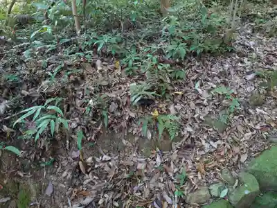 宇佐神宮(大分県)