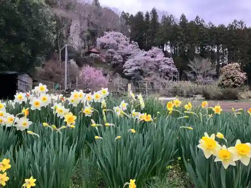 堂の下の岩観音の{uncategorized: "未分類", other: "その他", undefined: "問題あり", building: "その他建物", grave: "お墓", sacred_gate: "鳥居", guardian: "狛犬", statue: "像", buddha: "仏像", history: "歴史", nature: "自然", garden: "庭園", animal: "動物", pagoda: "塔", temizu: "手水舎", mountain_gate: "山門・神門", sanctuary: "本殿・本堂", subordinate: "末社・摂社", art: "芸術", scenery: "景色", jizo: "地蔵", ema: "絵馬", goshuin: "御朱印", omikuji: "おみくじ", items: "授与品その他", amulet: "お守り", goshuincho: "御朱印帳", eats: "食事", festival: "お祭り", votive_dance: "神楽", shichigosan: "七五三参", wedding: "結婚式", experience: "体験その他", initially: "初詣", around: "周辺", anti_infection: "感染症対策"}