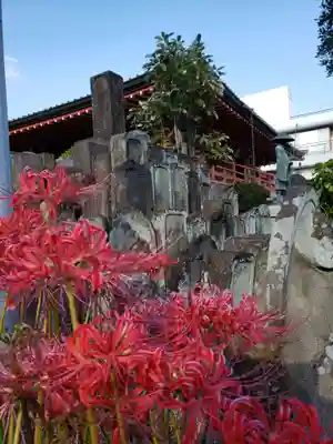 福寿院(東京都)