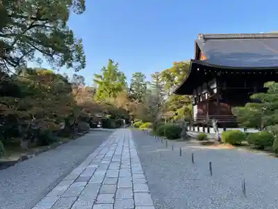 廣隆寺(京都府)