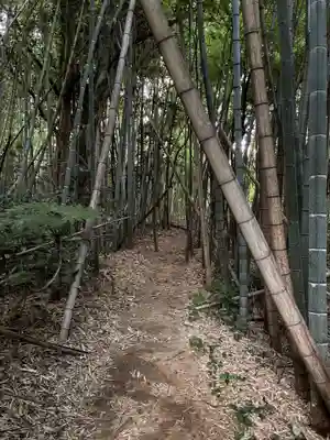 熊野神社(千葉県)