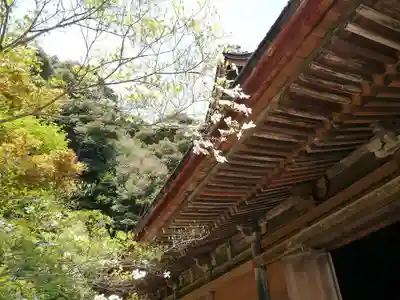 桑実寺の本殿・本堂