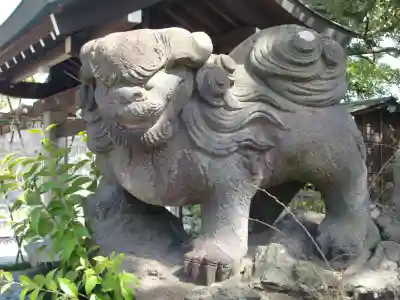 菊田神社の狛犬