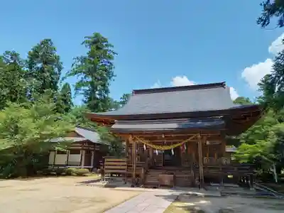 出石神社の本殿・本堂