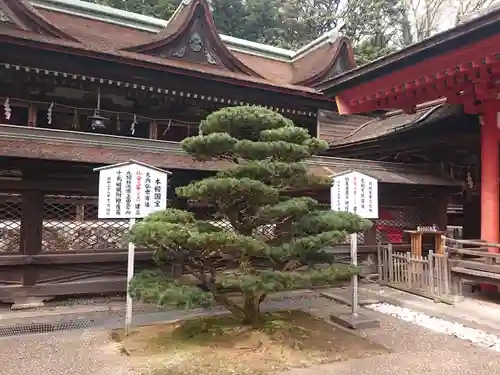 住吉神社(山口県)