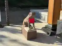 長谷寺(白岩観音)(群馬県)