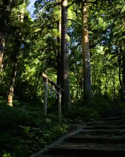 戸隠神社奥社(長野県)