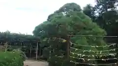 金蛇水神社の庭園