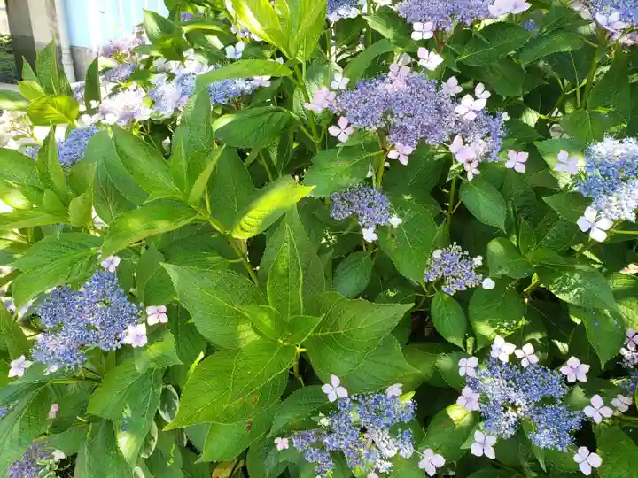 佐野神社の自然