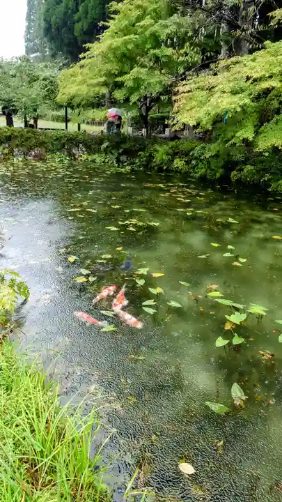 根道神社(岐阜県)