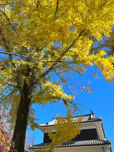 眞田神社(長野県)
