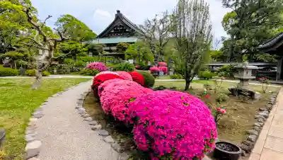 時宗総本山 遊行寺（正式：清浄光寺）の{uncategorized: "未分類", other: "その他", undefined: "問題あり", building: "その他建物", grave: "お墓", sacred_gate: "鳥居", guardian: "狛犬", statue: "像", buddha: "仏像", history: "歴史", nature: "自然", garden: "庭園", animal: "動物", pagoda: "塔", temizu: "手水舎", mountain_gate: "山門・神門", sanctuary: "本殿・本堂", subordinate: "末社・摂社", art: "芸術", scenery: "景色", jizo: "地蔵", ema: "絵馬", goshuin: "御朱印", omikuji: "おみくじ", items: "授与品その他", amulet: "お守り", goshuincho: "御朱印帳", eats: "食事", festival: "お祭り", votive_dance: "神楽", shichigosan: "七五三参", wedding: "結婚式", experience: "体験その他", initially: "初詣", around: "周辺", anti_infection: "感染症対策"}