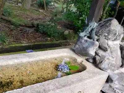 大木白山社の手水舎