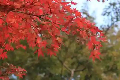談山神社(奈良県)