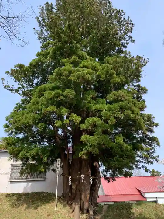 岩木山神社の自然
