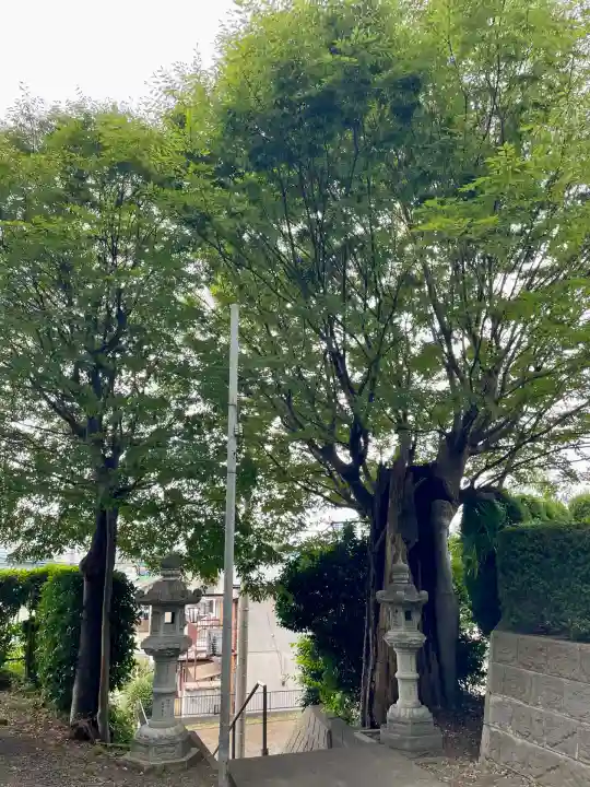 相模國分寺(神奈川県)