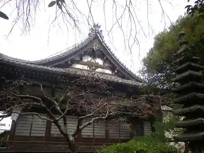 安國論寺（安国論寺）の本殿・本堂
