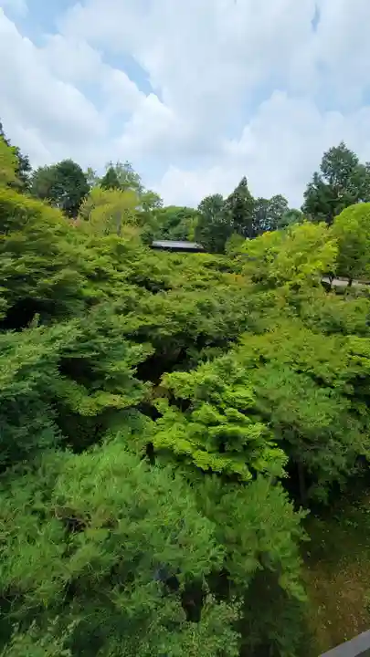 東福禅寺(東福寺)の庭園