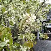 上地八幡宮(愛知県)