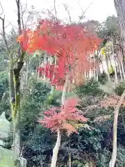 高麗神社の自然