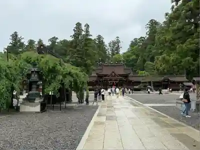 多賀大社(滋賀県)