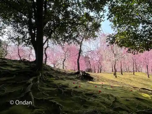 城南宮(京都府)