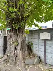 法禅寺(東京都)