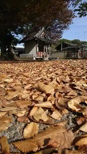 大手神社の自然