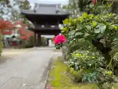 伊勢の国 四天王寺の自然