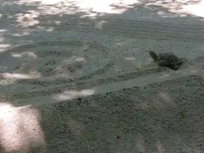明月院(神奈川県)