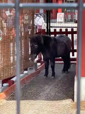 神田神社（神田明神）(東京都)