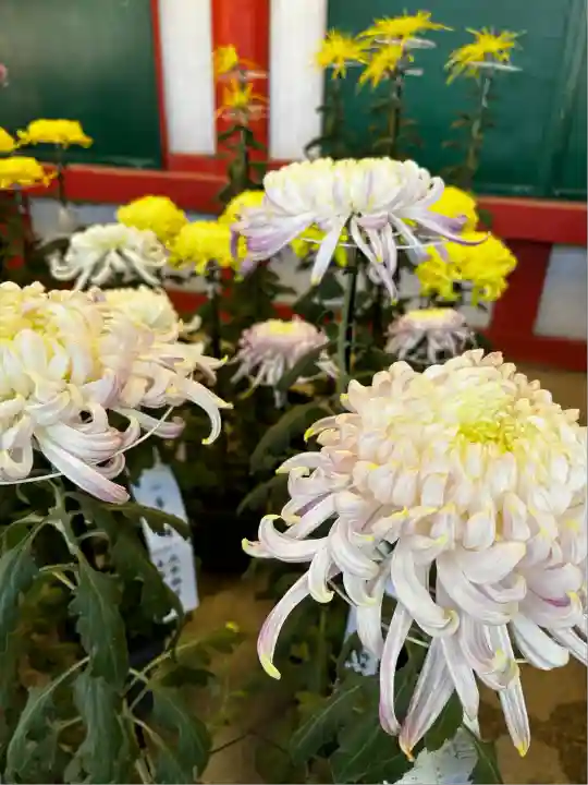 武蔵一宮氷川神社(埼玉県)
