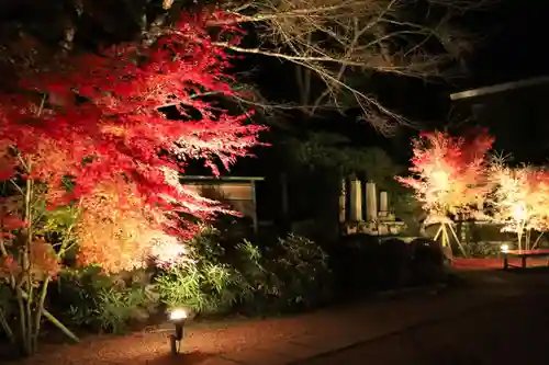 正寿院(京都府)