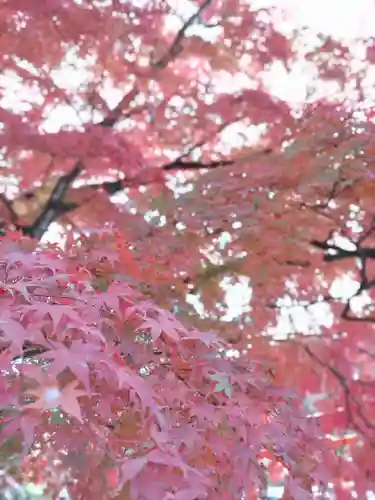 賀茂神社(宮城県)