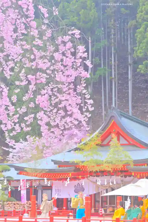 金櫻神社(山梨県)