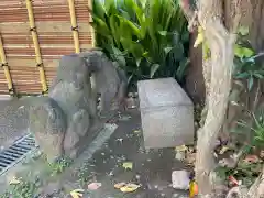 麻布氷川神社の狛犬