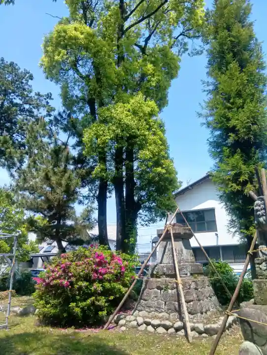 八剱神社の{uncategorized: "未分類", other: "その他", undefined: "問題あり", building: "その他建物", grave: "お墓", sacred_gate: "鳥居", guardian: "狛犬", statue: "像", buddha: "仏像", history: "歴史", nature: "自然", garden: "庭園", animal: "動物", pagoda: "塔", temizu: "手水舎", mountain_gate: "山門・神門", sanctuary: "本殿・本堂", subordinate: "末社・摂社", art: "芸術", scenery: "景色", jizo: "地蔵", ema: "絵馬", goshuin: "御朱印", omikuji: "おみくじ", items: "授与品その他", amulet: "お守り", goshuincho: "御朱印帳", eats: "食事", festival: "お祭り", votive_dance: "神楽", shichigosan: "七五三参", wedding: "結婚式", experience: "体験その他", initially: "初詣", around: "周辺", anti_infection: "感染症対策"}