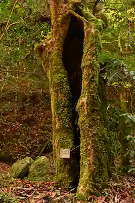 古岩屋不動尊(愛媛県)