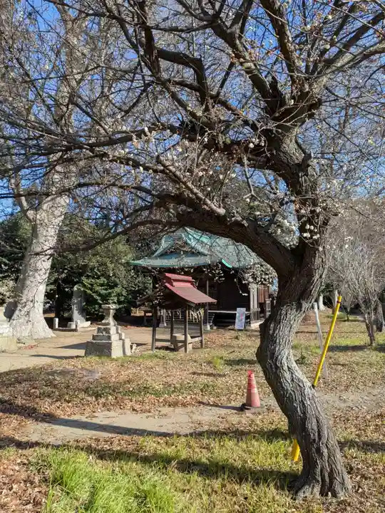 酒門神社(茨城県)