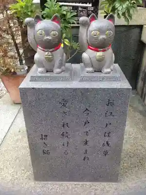 今戸神社の狛犬