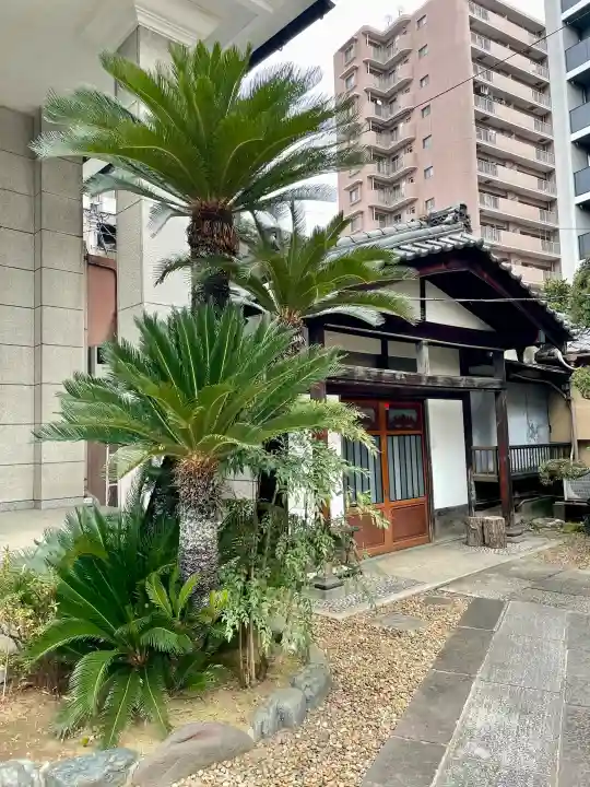 正洞院の{uncategorized: "未分類", other: "その他", undefined: "問題あり", building: "その他建物", grave: "お墓", sacred_gate: "鳥居", guardian: "狛犬", statue: "像", buddha: "仏像", history: "歴史", nature: "自然", garden: "庭園", animal: "動物", pagoda: "塔", temizu: "手水舎", mountain_gate: "山門・神門", sanctuary: "本殿・本堂", subordinate: "末社・摂社", art: "芸術", scenery: "景色", jizo: "地蔵", ema: "絵馬", goshuin: "御朱印", omikuji: "おみくじ", items: "授与品その他", amulet: "お守り", goshuincho: "御朱印帳", eats: "食事", festival: "お祭り", votive_dance: "神楽", shichigosan: "七五三参", wedding: "結婚式", experience: "体験その他", initially: "初詣", around: "周辺", anti_infection: "感染症対策"}